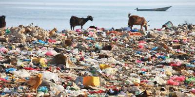 Environment Pollution বিষয়ক Paragraph লিখন, ২য় পর্ব, এইচএসসি ইংরেজি ২য় পত্র